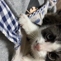 可愛がってくれる方