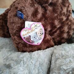 テディベア　3点セットの画像