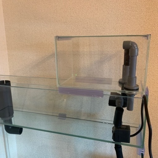 水槽　60cm