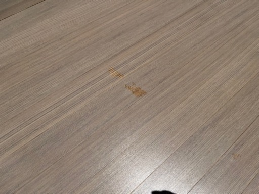 使用半年 高級フローリングマット 寸法(約)254×254cm 防カビ仕様 定価30000以上
