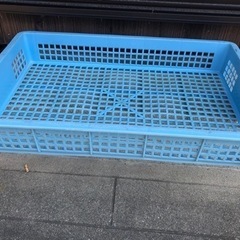 （取りに来てくださる方）中古メッシュトレー フードコンテナ69×...