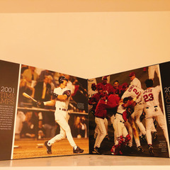 MLB Official World Series Collection (20 DVD Box)