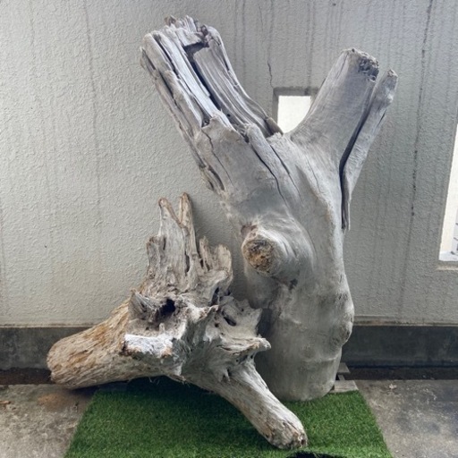 流木セット（大）