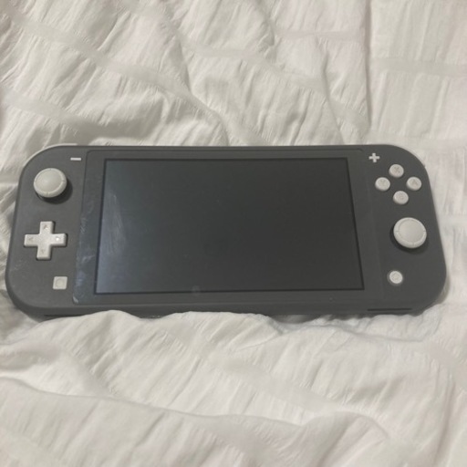 Nintendo Switch lightグレー　ケース付き