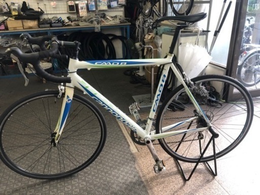 キャノンデール　caad8