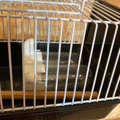 鳥かごの画像