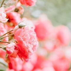 精神疾患で辛い思いされている方の集いの場
