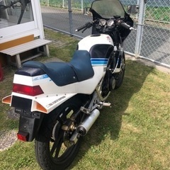 売切御免 スズキ RG250ガンマ 実動 書類ありの画像