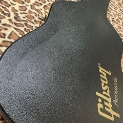 Gibsonハードケース🎸