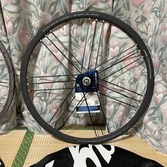 チャミ CAMPAGNOLO シャマルミレ(クリンチャー)