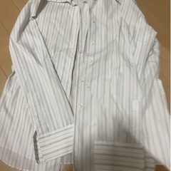 レディースワイシャツの画像