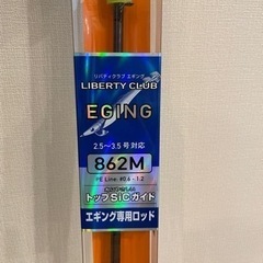 エギングロッド、リール、エギ等一式