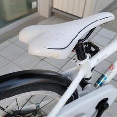 子供用自転車　軽量スポーツバイク「レベナ」の画像