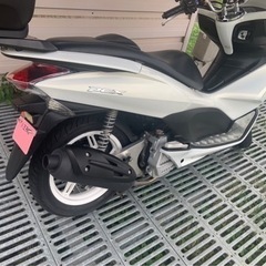 pcx125 の画像
