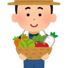 ビニールハウス　解体　購入　群馬県伊勢崎市