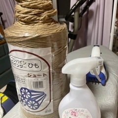 麻紐ジュード