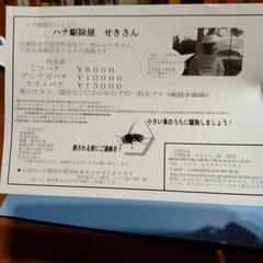 ハチ駆除屋せきさん　神奈川県西部受付中