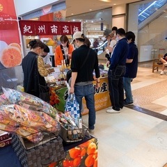 食品製造業 レギュラーバイトの画像