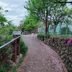 ママ友を募集しています。