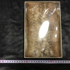 (売却済)値下げ！ぼちぼちファーいかがですか？の画像