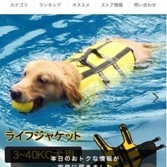 大型犬　ライフジャケットの画像