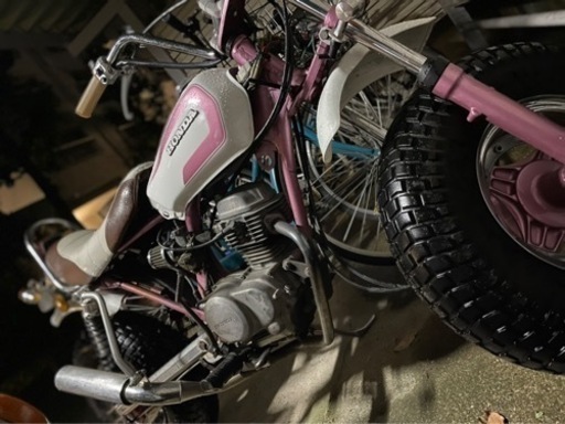 希少 ノーティダックス