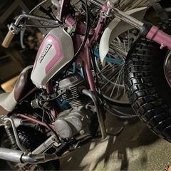 希少 ノーティダックス