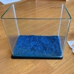 取り引き中　熱帯魚用水槽
