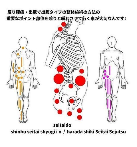 振武整體(しんぶせいたい)手技院　原田式整体施術特別指導教材　骨盤調整法