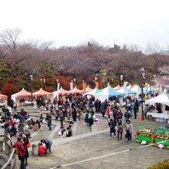 東京都北区　飛鳥山公園　フェスキッチンカー出店者様募集
