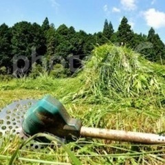 草刈りの手元追加募集！