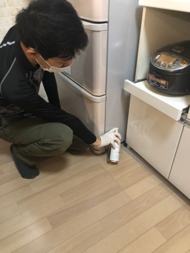 大阪府北部〜大阪市　害虫、害獣駆除作業