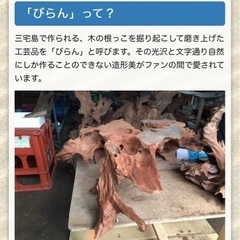 「びらん」木の根、天然木、オブジェ、インテリア