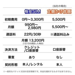 知らないと損⁉︎【格安SIM】と【定額かけ放題】どっちがお得？ - 一宮市