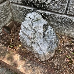 【無料】庭石お譲りします。