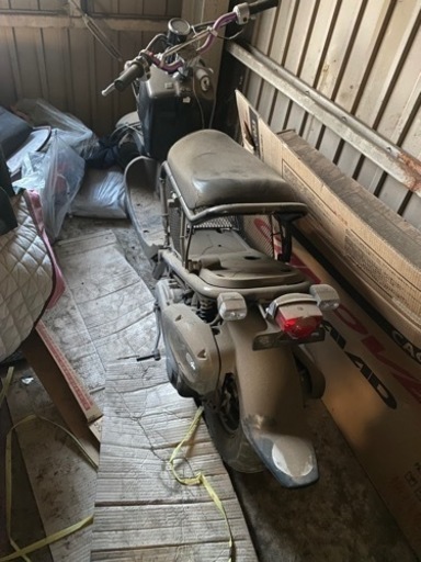 バイク、ホンダ 決まりました！