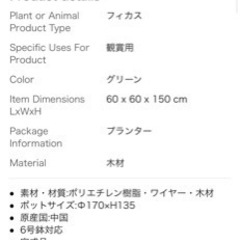 [差し上げます] 観葉植物(本物の植物ではありません) 引き取ってくださる方限定の画像