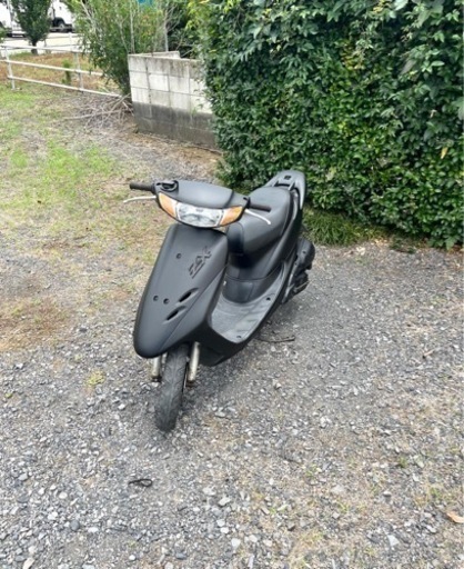 346.  動画あり　ライブディオZX仕様　原付　バイク 50cc   車体