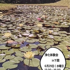  羅針盤•浄化体験会