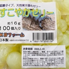 【お取引先確定】昆虫飼育マットの画像