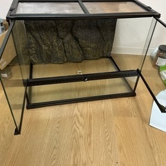 爬虫類用ケージEXO TERRAの画像