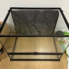 爬虫類用ケージEXO TERRAの画像