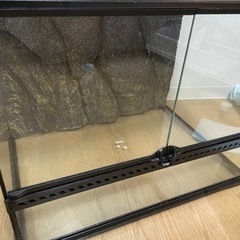 爬虫類用ケージEXO TERRAの画像