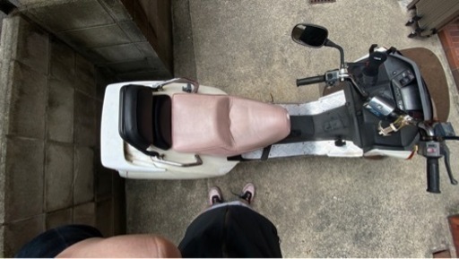 （決定）8/16まで延長【再度】値段を下げました。フュージョン