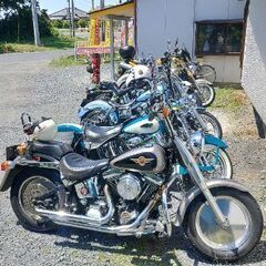～アメリカン系バイク仲間募集～ - メンバー募集