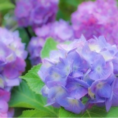 趣味友達探してます