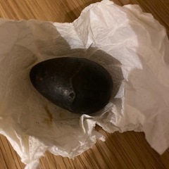 鉄玉子