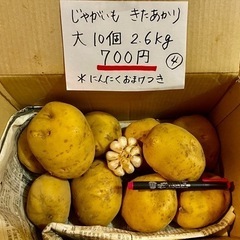 ④じゃがいも　きたあかり　大10個2.6キロ　ニンニクおまけ付き