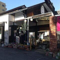 喫茶店のホールスタッフ募集
