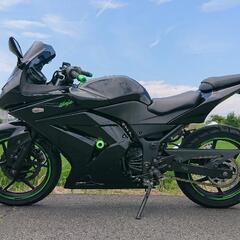 [受付終了しました] Kawasaki Ninja 250R 絶...